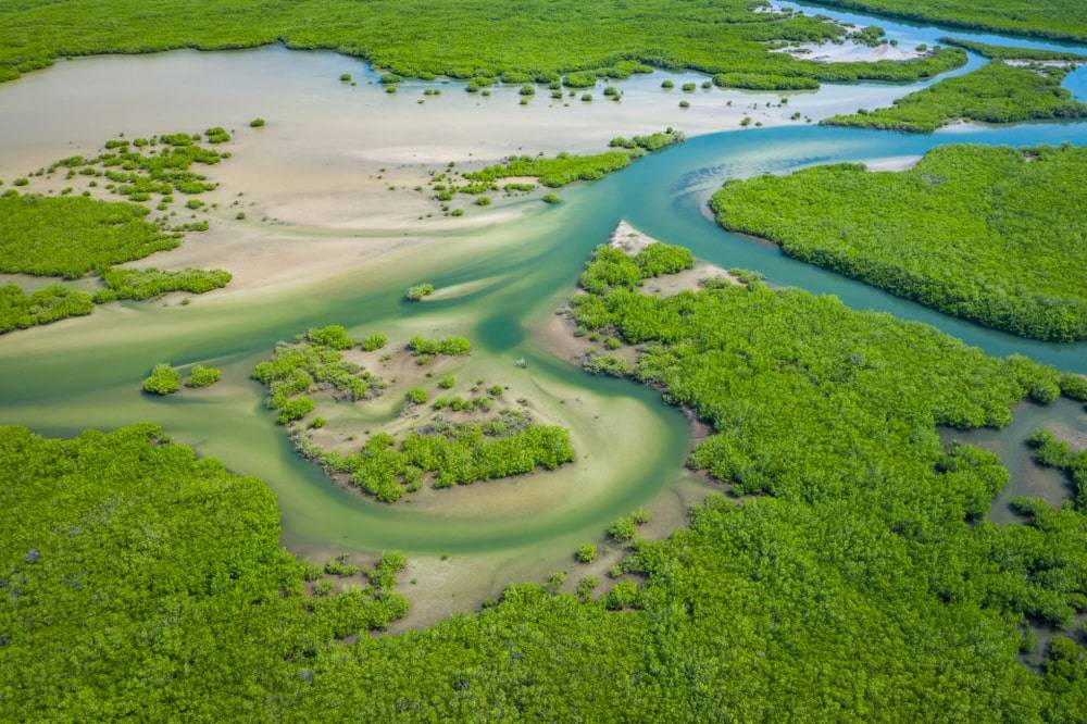 The Sine Saloum Delta