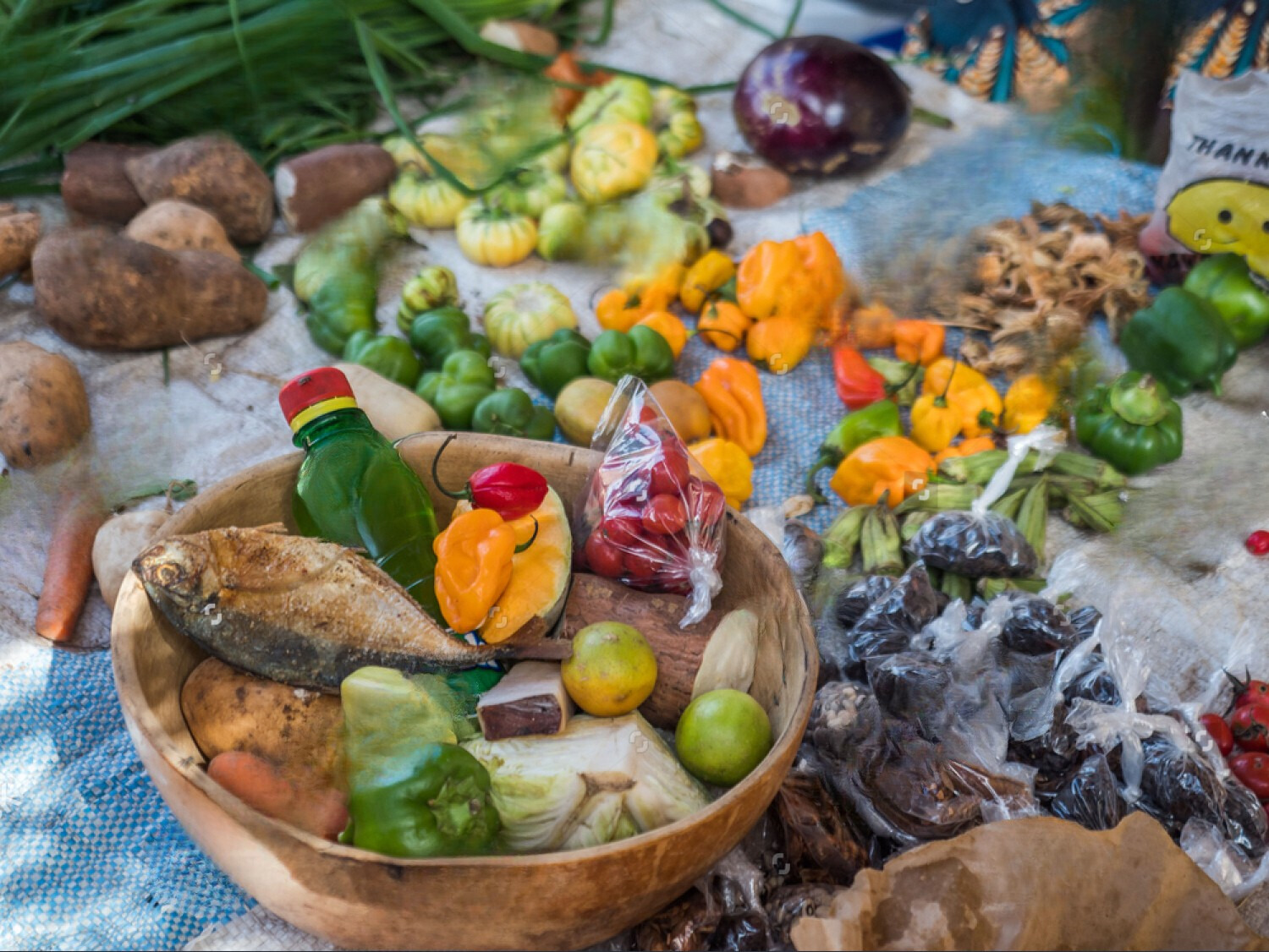 vegetable provision set