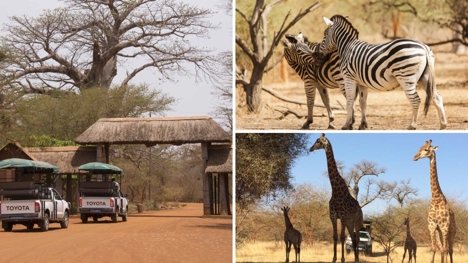 Bandia Reserve Entrance and Giraffe Enclosure